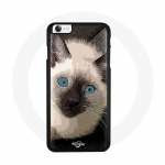 Coque iphone 5 Chat Siamois Yeux Bleus