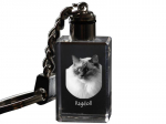 Ragdoll - Crystal pendant with cat photo, illuminated pendant, unique gift by Art-Dog brand
