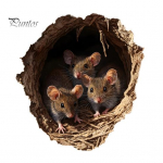 Pelės skylutės sienos lipdukas 3D lipdukas kaimi&scaron;kas vandeniui atsparus pelės lipdukas vaikų kambario svetainės dekoravimui ruda