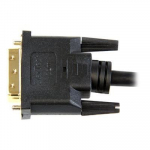 C&acirc;ble adaptateur HDMI vers DVI-D - STARTECH - 2m - Plaqu&eacute; or juoda