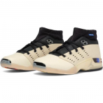 Infinite Archives x Jordan 17 Retro Low SP Beach IH0177-200 Vyri&scaron;ki EU 40.5 ruda