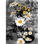 Pilnas apvalus 5D &bdquo;pasidaryk pats&ldquo; deimantinis paveikslas Daisy Gėlės Deimantinės mozaikos dovana deimantinis siuvinėjimas 20X30CM