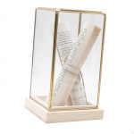 Kolekcinė stiklinė vitrina Dekoratyvinė talpa su dangčiu 11,5 X 20 cm Medinis pagrindas skirtas Style A