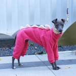 Žieminiai &scaron;ilti poliarinio vilnos &scaron;unų drabužiai Dinazauro formos &scaron;uns &scaron;iltas kombinezonas Whippet Greyhound Augintinis Keturių kojų paltas (as the picture,M) pink