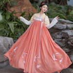 Kini&scaron;ka suknelė &scaron;okių suknelė Tang dinastijos Hanfu moterų senovinis kostiumas, patobulintas siuvinėjimas, sijonas su dviguba krūtine, moteri&scaron;ki drabužiai