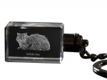 Selkirk Rex Longhaired - Crystal pendant with cat photo, illuminated pendant, unique gift by Art-Dog brand