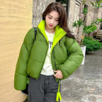 Nauja laisva laisvalaikio stovi apykaklė Parkai Moteri&scaron;ki madingi pastorinti paltai Moteri&scaron;ki Eleganti&scaron;ki solidūs trumpi pamink&scaron;tinti &scaron;varkai, moteri&scaron;ki 2XL