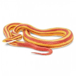 &bdquo;Safari Ltd Corn Snake&ldquo; figūrėlė 100073, mi&scaron;rios spalvos, 1 vnt., populiarūs žaislai Korėjoje
