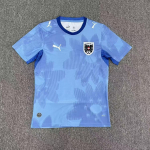 Austrijos Pasaulio taurės mar&scaron;kinėliai Futbolo apranga Gerbėjų versija XXL gray