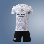 24/25 Man City Drakono Metų Specialus Leidimas &Scaron;viesiai Pilkas XXL