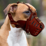Natūralios odos &scaron;uns snukis Anti-Biting &Scaron;unų mokymo snukis No Bite Anti Bark Naminių gyvūnėlių kaukė vidutiniams dideliems &scaron;unims Pitbull Labrador M