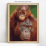 Deimantinė tapyba kryželiu dygsniuojantis orangutanas 5D &bdquo;pasidaryk pats&ldquo; pilnas krapas, apvalus gyvulinis kalnų kri&scaron;tolas 20X30CM
