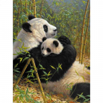 &bdquo;Pasidaryk pats&ldquo; deimantų siuvinėjimas Miela panda 5D deimantų tapyba Kalnų kri&scaron;tolinio akmens mozaikos namų dekoras 20X30CM