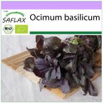 SAFLAX Ekologi&scaron;kas &ndash; Bazilikas Raudonasis &ndash; 400 sėklų &ndash; Ocimum basilicum