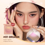 Blush Emossed Gradient Blush Pallet Mink&scaron;tas ir &scaron;velnus atspalvis kreminis skaistalai High Pigment Face Pink Shining Shadow makiažo pudra 01