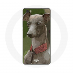 Coque pour Huawei P8 L&eacute;vrier greyhound Gris