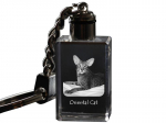 Oriental - Crystal pendant with cat photo, illuminated pendant, unique gift by Art-Dog brand