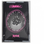 Klaidžiojančių vaikų mini albumas ROCK-STAR ( Gimimo vietos nėra)