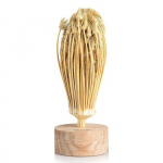 Natūralūs dantų krap&scaron;tukai i&scaron; Maroko smėlis