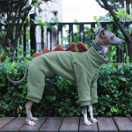 Žieminiai &scaron;ilti poliarinio vilnos &scaron;unų drabužiai Dinazauro formos &scaron;uns &scaron;iltas kombinezonas Whippet Greyhound Augintinis Keturių kojų paltas (as the picture,L)
