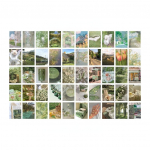 50 vnt/knyga Sunset Romance Series Dekoratyviniai lipdukai Scrapbooking &bdquo;Pasidaryk pats&ldquo; Etiketės dienora&scaron;tis Kanceliarinės prekės Albumas Žurnalas Ins lipdukas