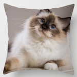 18 colių Cat kolekcijos pagalvių užvalkalas namams ir biurui 45x45cm