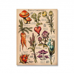 Vintažiniai laukiniai botaniniai plakatų atspaudai Augalų gėlės Dekoracija Drobės sieninis paveikslas Studijų edukacinis meno tapybos dovana Namų dekoras 21*30cm