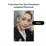 &bdquo;Stay Kids&ldquo; 5 žvaigždučių kupolo turas 2023 m. Seulo specialios nuotraukų kortelės