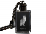 Singapura - Crystal pendant with cat photo, illuminated pendant, unique gift by Art-Dog brand