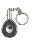 Ragdoll - Fob with cat photo, crystal key ring in gift box, unique gift by Art-Dog brand