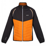 Regatta vyri&scaron;kas hibridinis softshell striukė Steren 3XL
