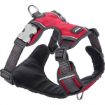 Harnais pour chien - RED DINGO - Sport - Rembourr&eacute; - Taille T4 - Rouge raudona