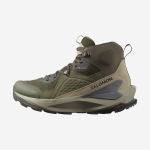 Salomon Elixir Mid GTX Vyri&scaron;ki Alyvuogių Žalia L47697800 42 gray