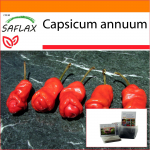 SAFLAX - Sodas mai&scaron;elyje - Čili - Peter Peppers Penis Čili - 10 sėklų - Su substratu tinkamame stovimame mai&scaron;elyje - Capsicum annuum