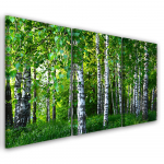 Trijų dalių paveikslas ant drobės Beržų mi&scaron;ko žalia 120x80 žalia