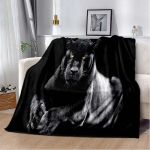 3d Tier Gepard Leopard Animacinių filmų antklodė lovai Pikniko antklodė Sofa plona antklodė Oro kondicionieriaus antklodė Individualizuotos antklodės 75x100cm 30x40inch