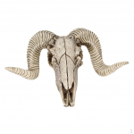 Resin Sheep Head Skull Horn Wall Halloween decor