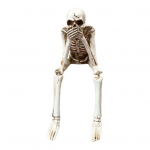 Helovino skeleto papuo&scaron;alai, derva sėdinčios kaukolės figūrėlės, kilnojamos sąnarys, skeletas, kaulinės statulos Realisti&scaron;ka namų puo&scaron;mena knygų lentynos stalvir&scaron;iui A