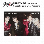 Stray Kids 1-ojo albumo perpakavimas gyvenime Vieneto fotokortelė Atvirukas KPOP K-POP Postcard B