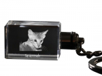 Savannah - Crystal pendant with cat photo, illuminated pendant, unique gift by Art-Dog brand