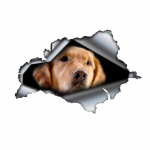 Auksinio retriverio 3D vinilo automobilio lipdukas, linksmas draudimo buferio lipdukas automobiliams, sunkvežimiams, motociklams, sienoms, langams, PVC medžiaga 15cm-Longest Side