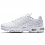 Nike Air Max Plus Trisbalti Laisvalaikio Batai AJ2029-100 39