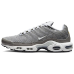 Nike Air Max Plus SE Flat Pewter Vyri&scaron;ki sportbačiai Pilki Photon-Dust Juodi DV7665-002 40.5