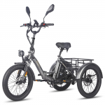 FAFREES F20 Mate L2E-P Sertifikuotas sulankstomas elektrinis krovininis triratis, 48V 500W variklis, 3 važiavimo režimai, didžiausia keliamoji galia 180 kg.