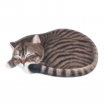 Grindų kilimėlis Kojų kilimėlis Neslystantis kilimėlis Įėjimo durys Vonios kambarys Vandens sugeriamasis Vonios kambarys 3D Kačiukas Gyvūnas Miegamasis Lovos kra&scaron;tas Antklodė Svetainė 66&times;125CM