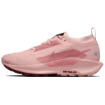 Nike React Pegasus Trail 5 Gore Tex Rožinės Oxford Red Sepia Red Stardust Moteri&scaron;ki sportbačiai FQ0912-601 40.5 rožinė