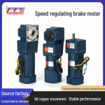 Tengshengwei 220V greičio reguliuojamas mikro AC pavarų variklis su stabdžiu pirmyn ir atgal 25W