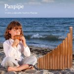 Pan fleita 15 vamzdelių Natūralus bambukas G tonacija Panpipe Kinijos mediniai pučiamieji instrumentai China Mainland gray