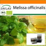 SAFLAX - Sodas mai&scaron;elyje - Ekologi&scaron;kas - Melisa - 1000 sėklų - Su substratu tinkamame stovimame mai&scaron;elyje - Melissa officinalis