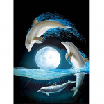 &bdquo;Pasidaryk pats&ldquo; &bdquo;Dolphin 5D&ldquo; deimantinis paveikslas, pilnas apvalus grąžtas, gyvūnas, deimantinis siuvinėjimas kryželiu, mozaikinis dervos sienų menas, namų dekoro dovana Full Round 20x30CM